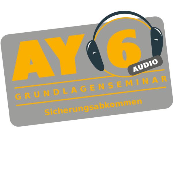 Seminarpaket AY1-8 zzgl Halter aller Recht und US Directive